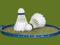 Badminton loisir