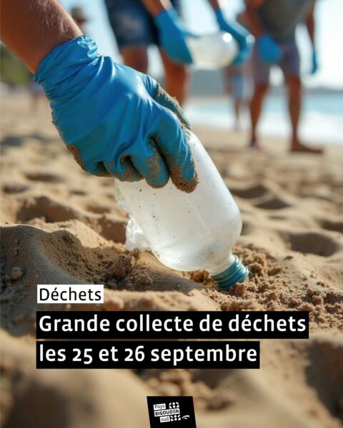Grande collecte de déchets